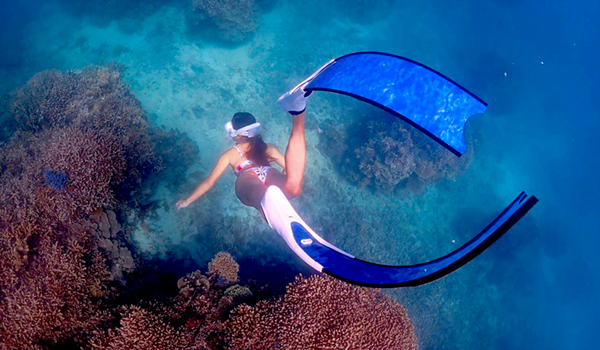 石垣島で体験ダイビング、シュノーケリング